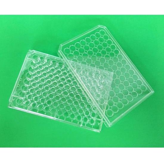 Streptavidin Coated Microplates Bioworld