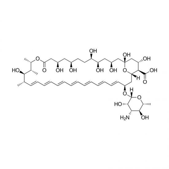 Amphotericin B Solution 100X, Sterile | Antibiotics | BioWORLD