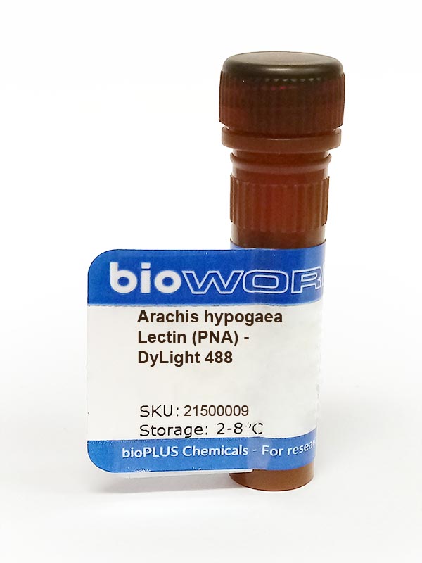 Arachis Hypogaea Lectin PNA DyLight 488 BioWORLD