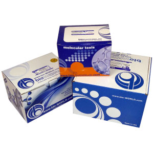 Innovation in Protein Kits: Discover Our Offerings | Buy Now! | bioWORLD