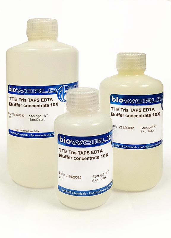 Tte Tris Taps Edta Buffer Concentrate 10x Bioworld 4900